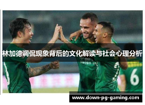 林加德调侃现象背后的文化解读与社会心理分析