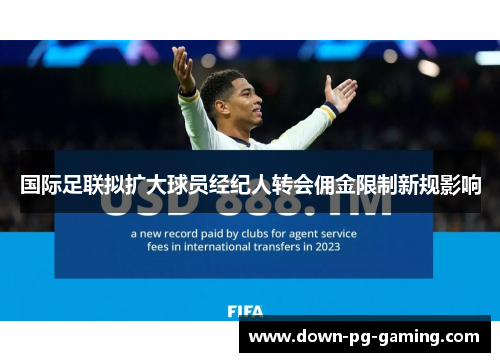 国际足联拟扩大球员经纪人转会佣金限制新规影响 国际足联拟扩大球员经纪人转会佣金限制新规影响