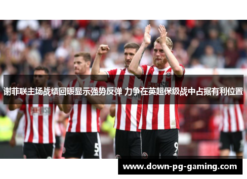 谢菲联主场战绩回暖显示强势反弹 力争在英超保级战中占据有利位置